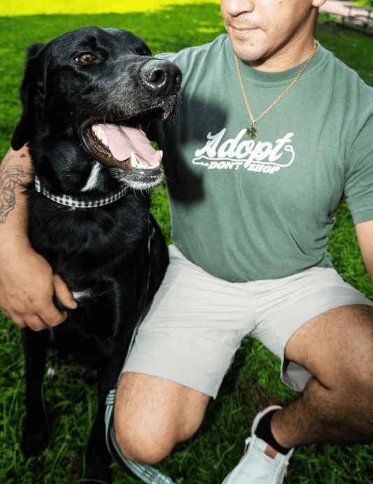 Adopt Don't Shop Washed Tee - Mutty Prints