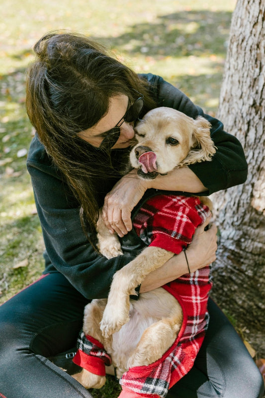 How Long Does It Take for a Rescue Dog to Adjust? - Mutty Prints