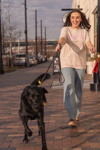 The Ultimate Guide to Gentle Leaders, Harnesses, and Leashes for Tricky Walkers 🐾 - Mutty Prints