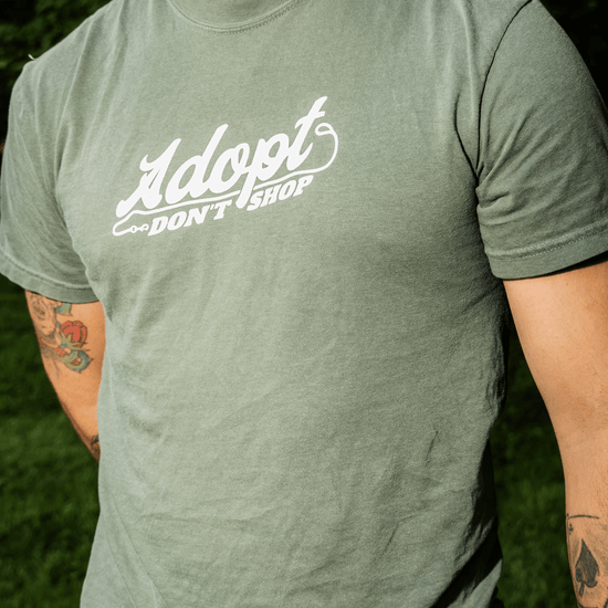 Person wearing a green t-shirt with 'Adopt Don't Shop' text outdoors.