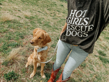 Person wearing a shirt with 'Hot Girls Rescue Dogs' text standing next to a dog in a grassy field.